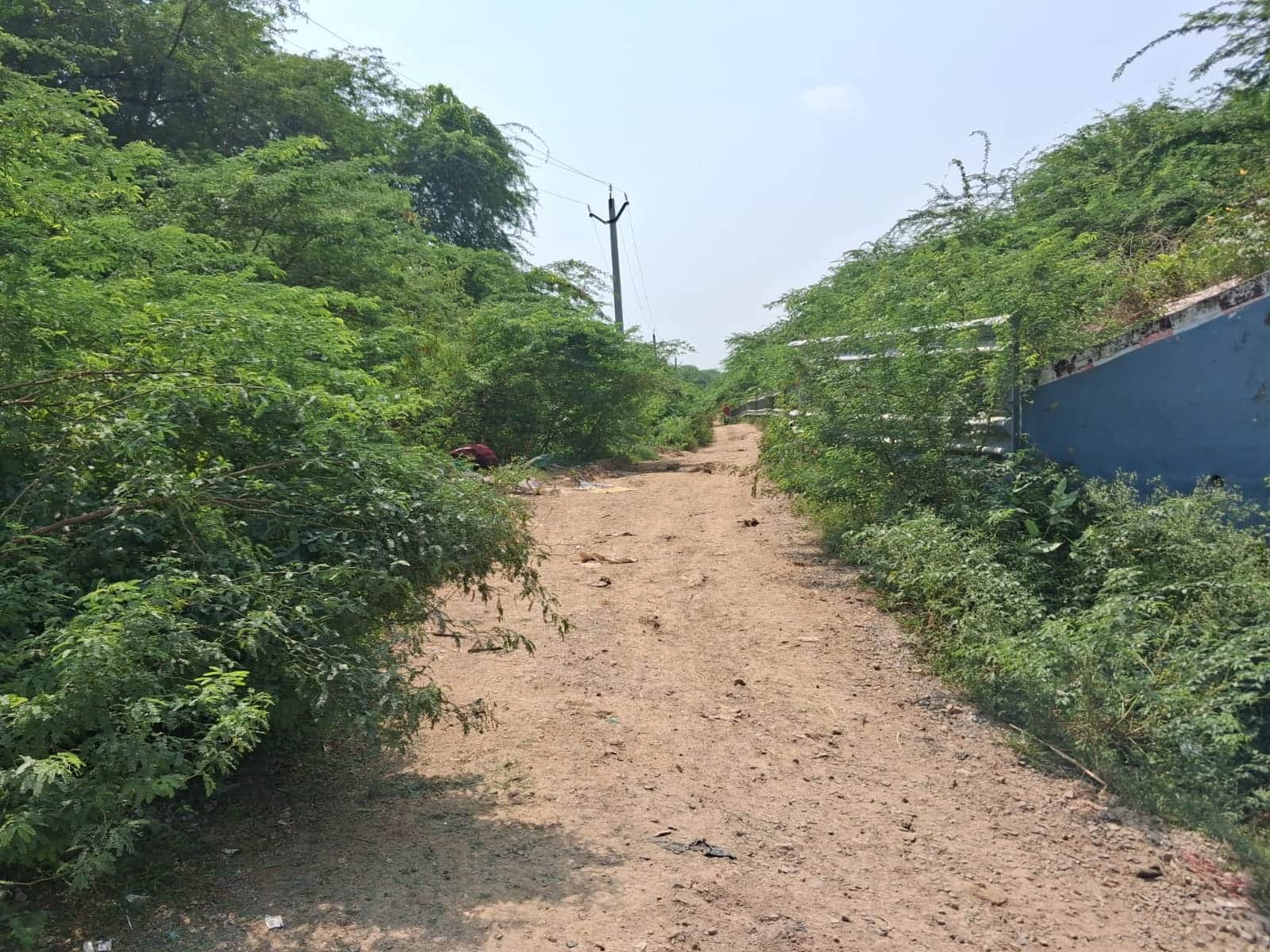 फोटो-2-प्रस्तावित सड़क की जगह। संवाद<div></div><div><br></div>