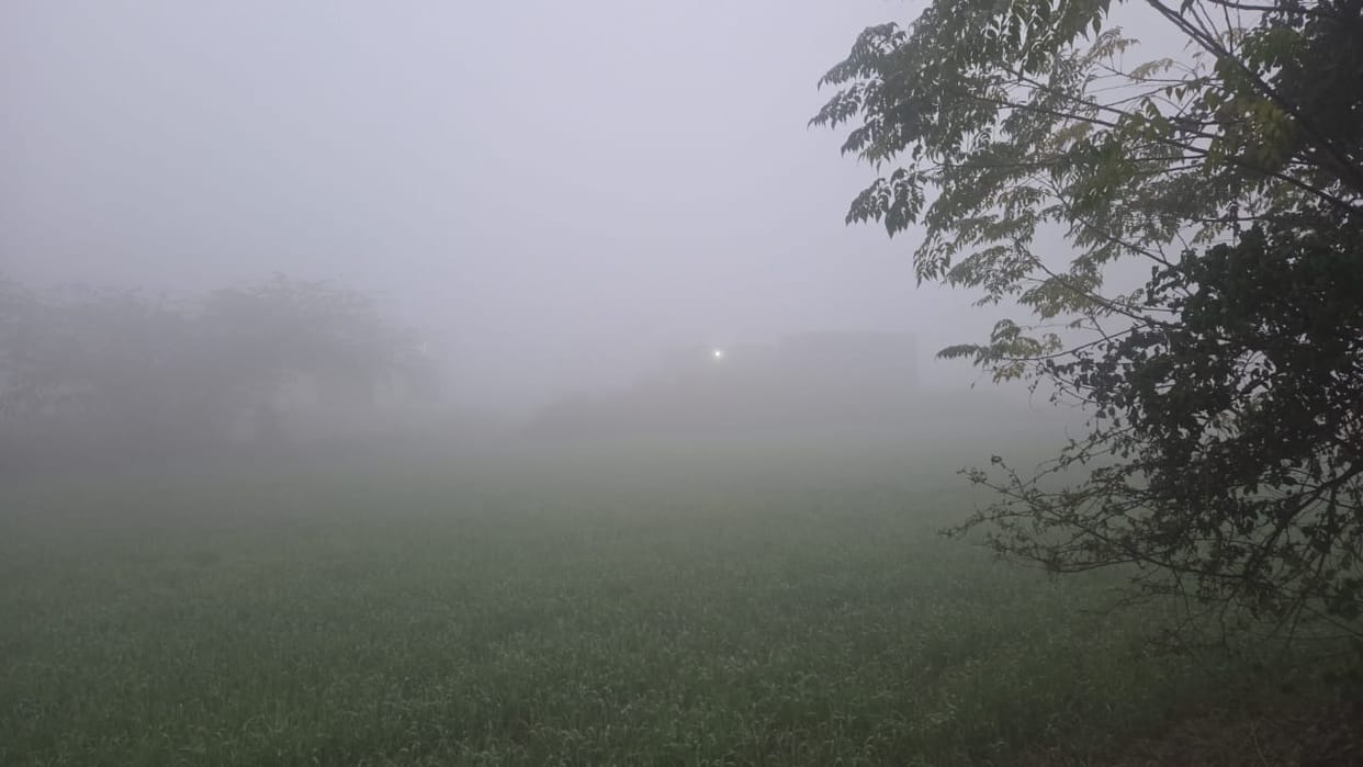 The harsh weather conditions of fog and cold continue, affecting daily life.