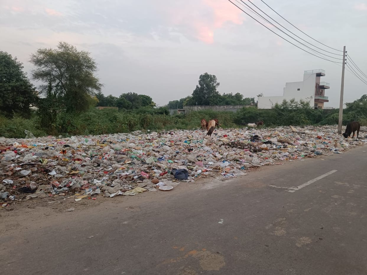 20 panchayat wards and only 6 sanitation workers; claims of cleanliness have turned into a mess.