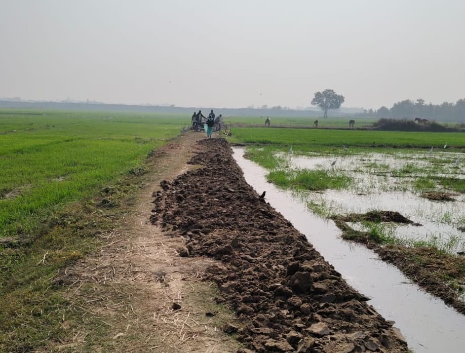 MNREGA: 101 registered online attendance, but only 11 were found working