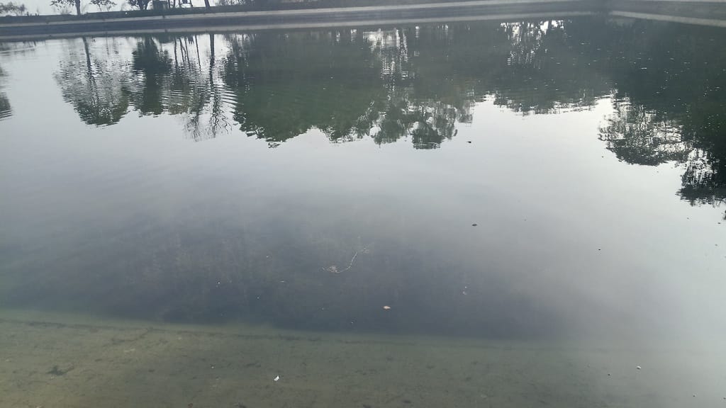 The water tank of Mehuwala has not been cleaned for 10 years, TDS is more than 2000