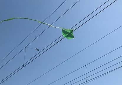 Chhindwara News: Kite lure turns life-threatening as children come under high-voltage line, treatment underway