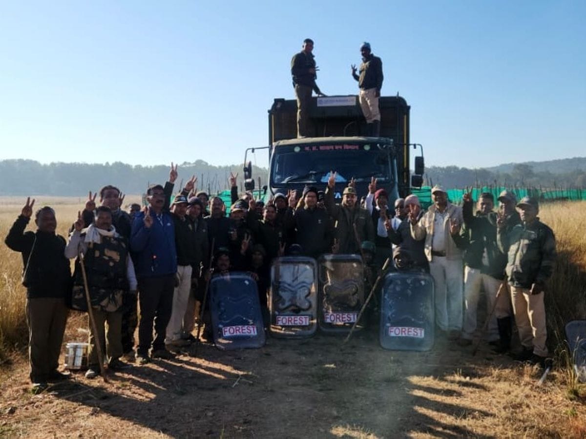 कान्हा से सतपुड़ा तक संरक्षण की नई उड़ान, 12 बारहसिंगा भेजे गए