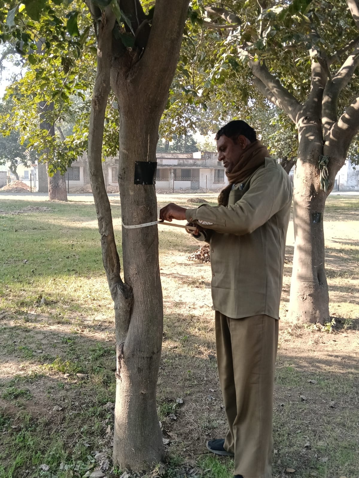 Cantonment Board will conserve trees, counting work begins