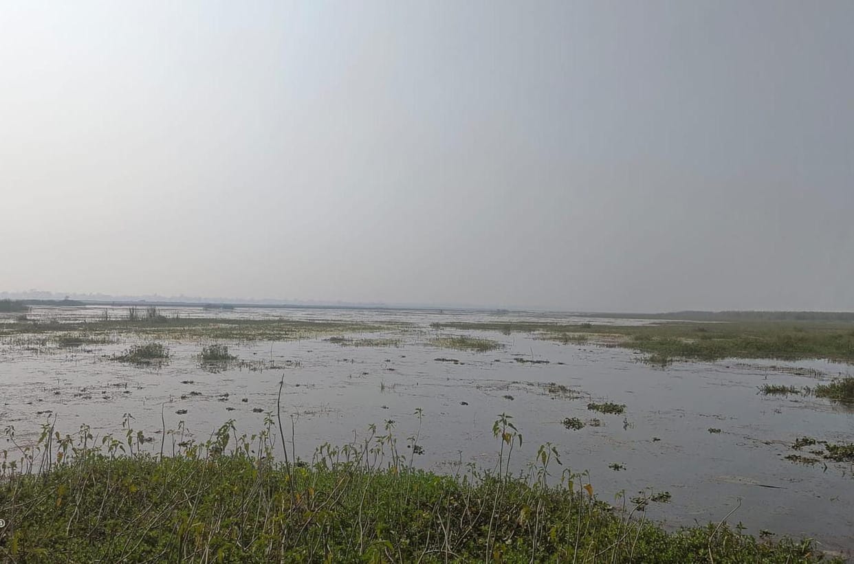 Neglect took away the shine of the lake, Lake Baghail is in trouble