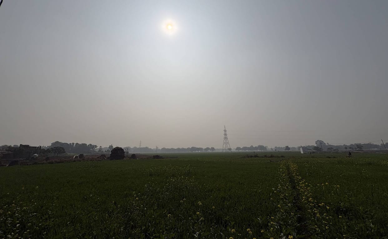 A thick blanket of fog in the morning, bright sunshine in the afternoon, and wind blowing at 14 km/h in the evening