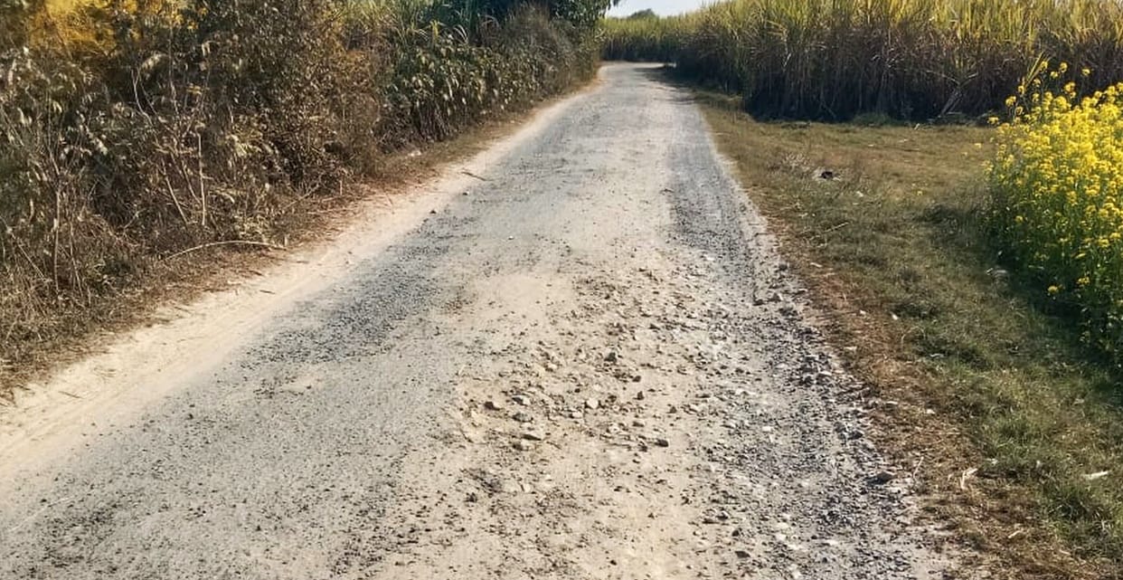 Nine roads will be built with an investment of Rs 5.17 crore