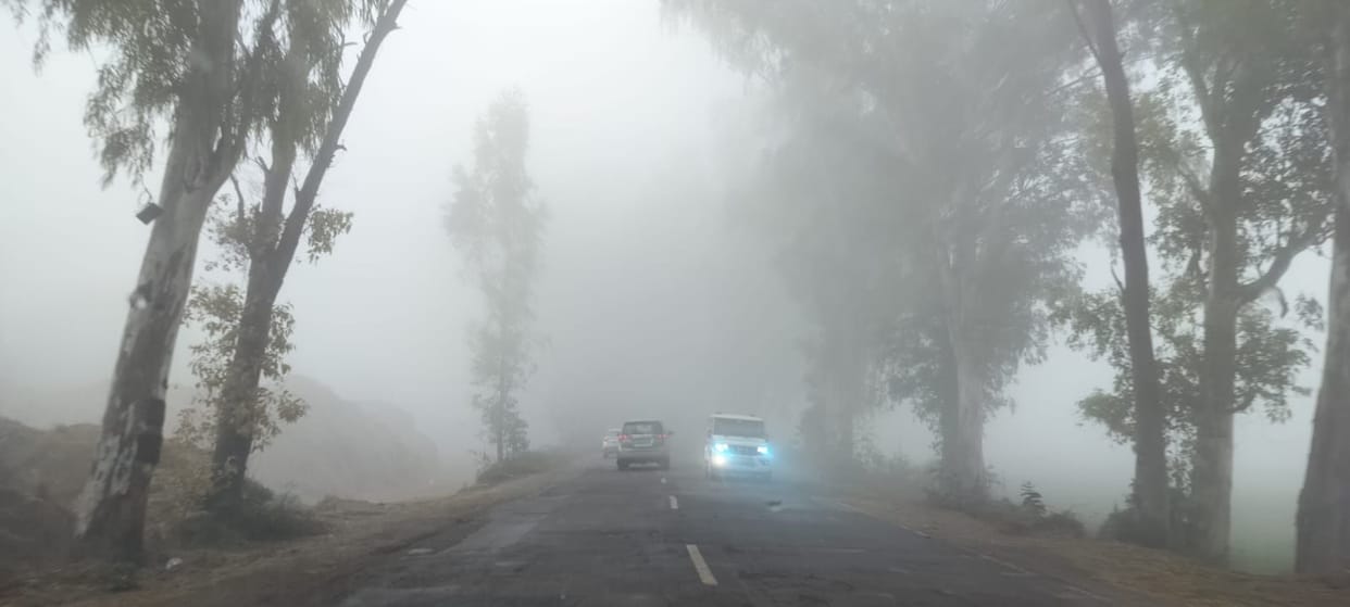 Relief from the cold, the minimum temperature reached 7 degrees.