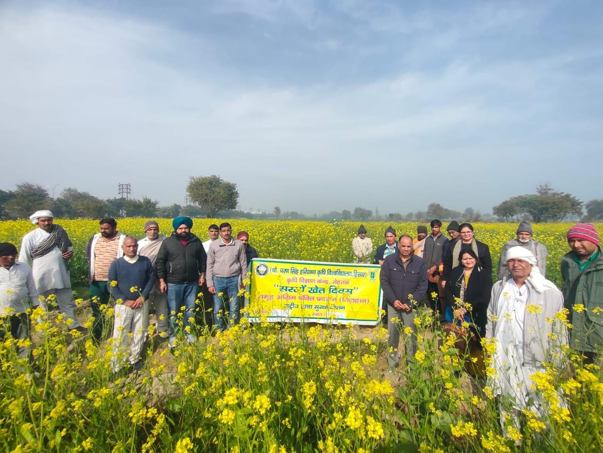 Sow mustard varieties RH 1424 and 725 with less water to achieve good yields: Dr. Ramesh