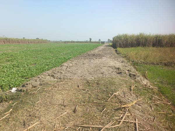MNREGA: Workers are not even going to their work sites, let alone working.
