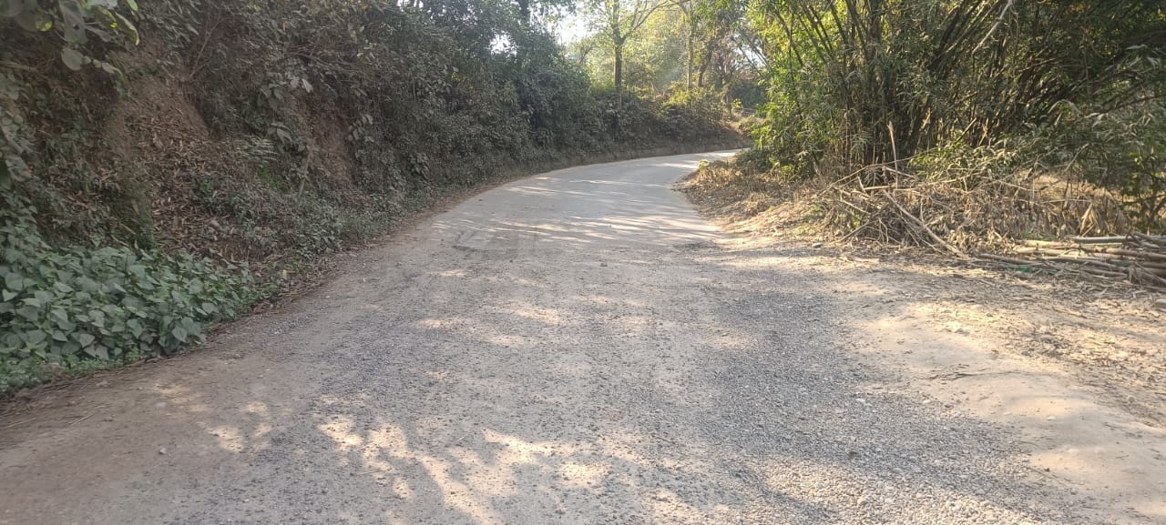 Now there will be safe travel on Bada Da Ghat-Salonh-Bamm road