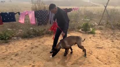 Morena News: Robbers broke into a transgender person's house in Amba at midnight and committed a robbery.