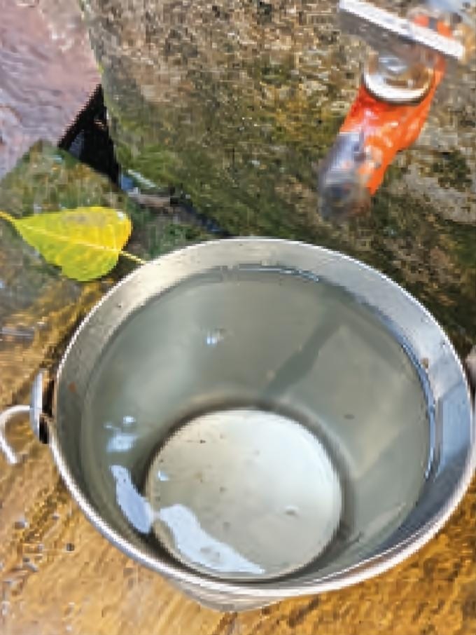 पानी में निकले कीड़े दिखाते रहवासी