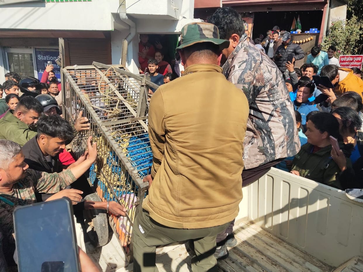 A leopard roamed the populated area for two and a half hours, leaving frightened residents confined to their homes.