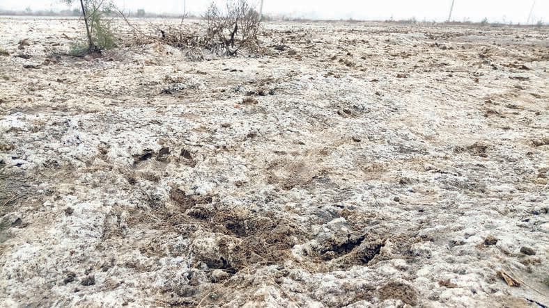 A white sheet spread over the hopes of farmers