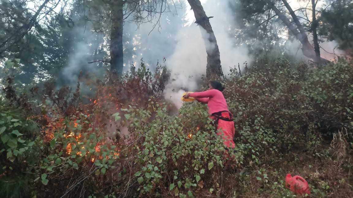 Fire broke out in the forests of Chitai and Someshwar, causing panic.