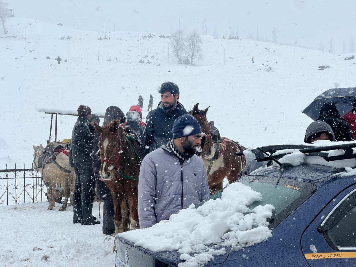 Srinagar, Tourist Reached, Seen Snowfall, Snowfall