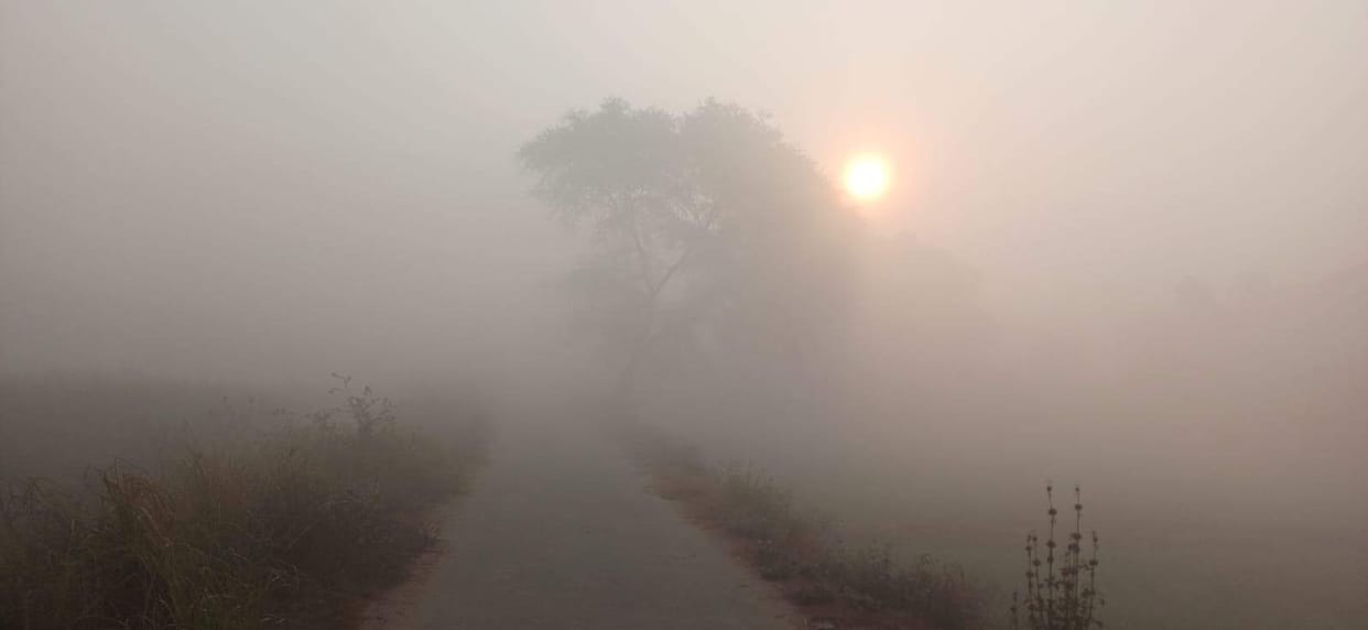 Dense fog in the morning reduced visibility