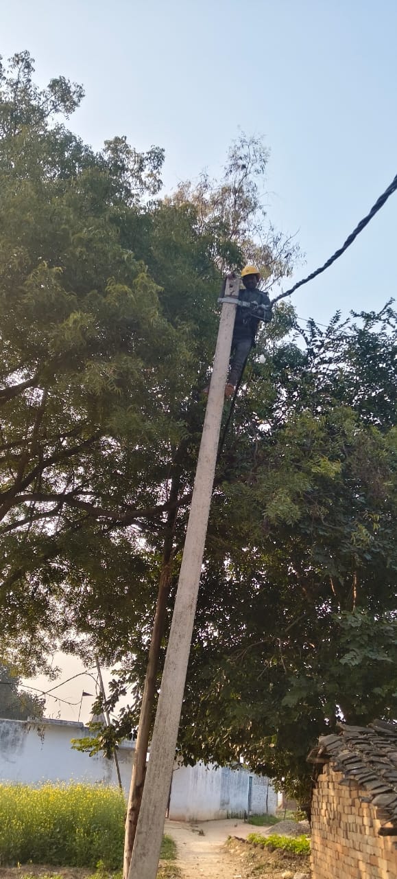 The electricity department straightened the crooked poles.