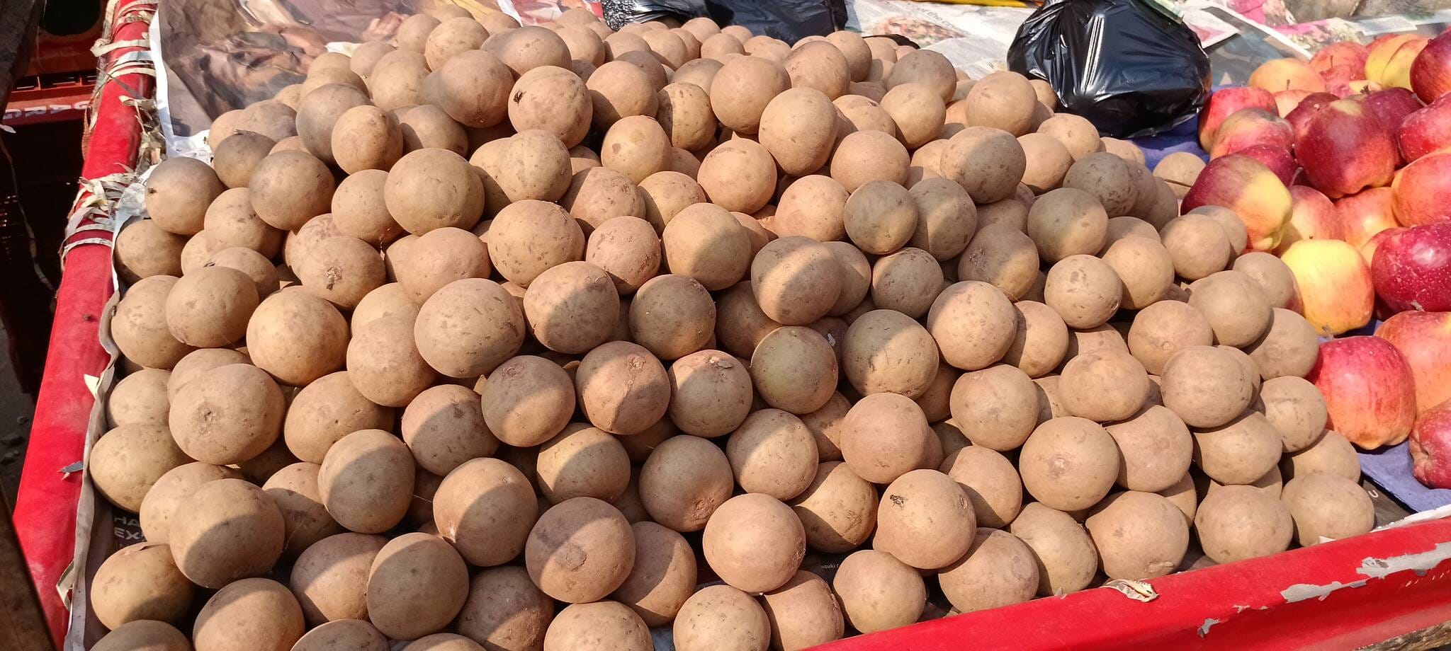 फोटो संख्या:57- सब्जी मंडी में दुकान पर रखे चीकू---संवाद