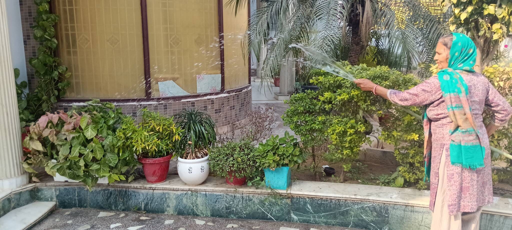 फोटो संख्या:61- कृष्ण कॉलोनी में पौधों में पानी देती पुष्पा यादव--संवाद