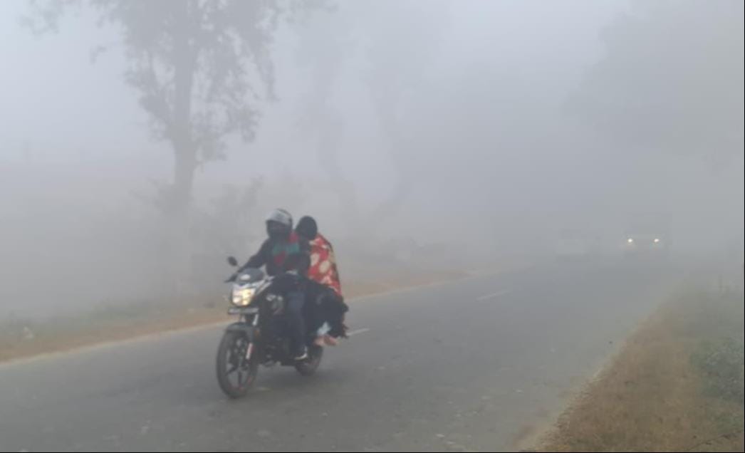 Dense fog in the morning, followed by warm sunshine