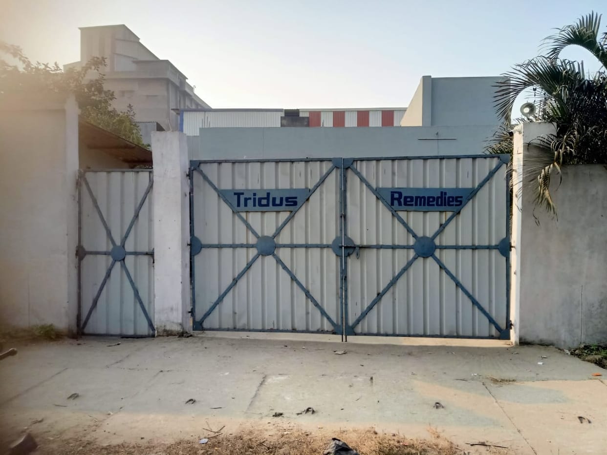 Bihar News: Ethylene Glycol Found in Children Cough Syrup, Hajipur Pharma Company Banned