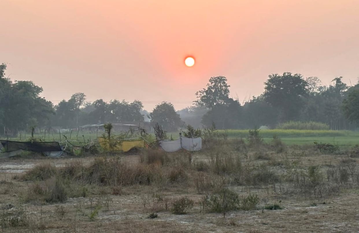 The wheat crop suffered up to 20 percent damage due to a west wind blowing at a speed of 12 kilometers per hour.