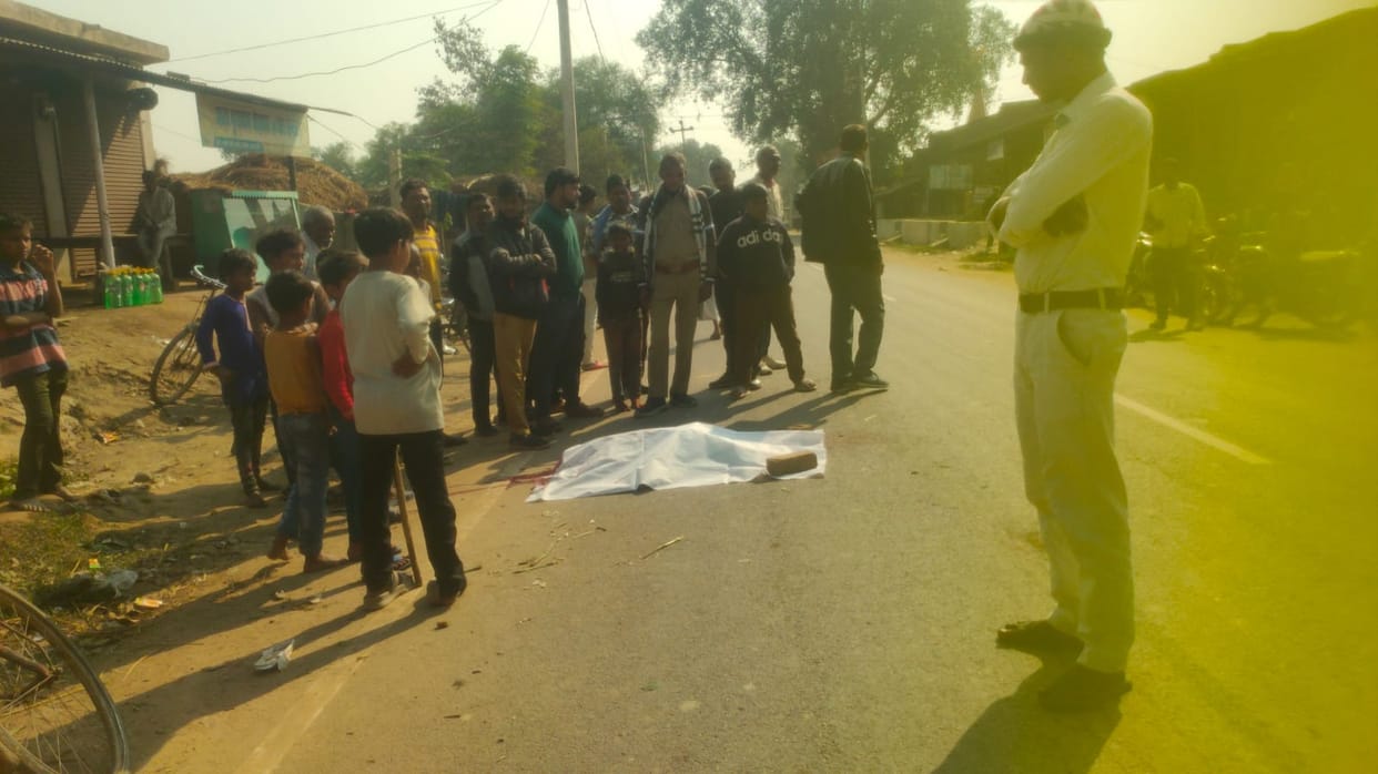 Monkey dies after being crushed by vehicle, villagers perform last rites