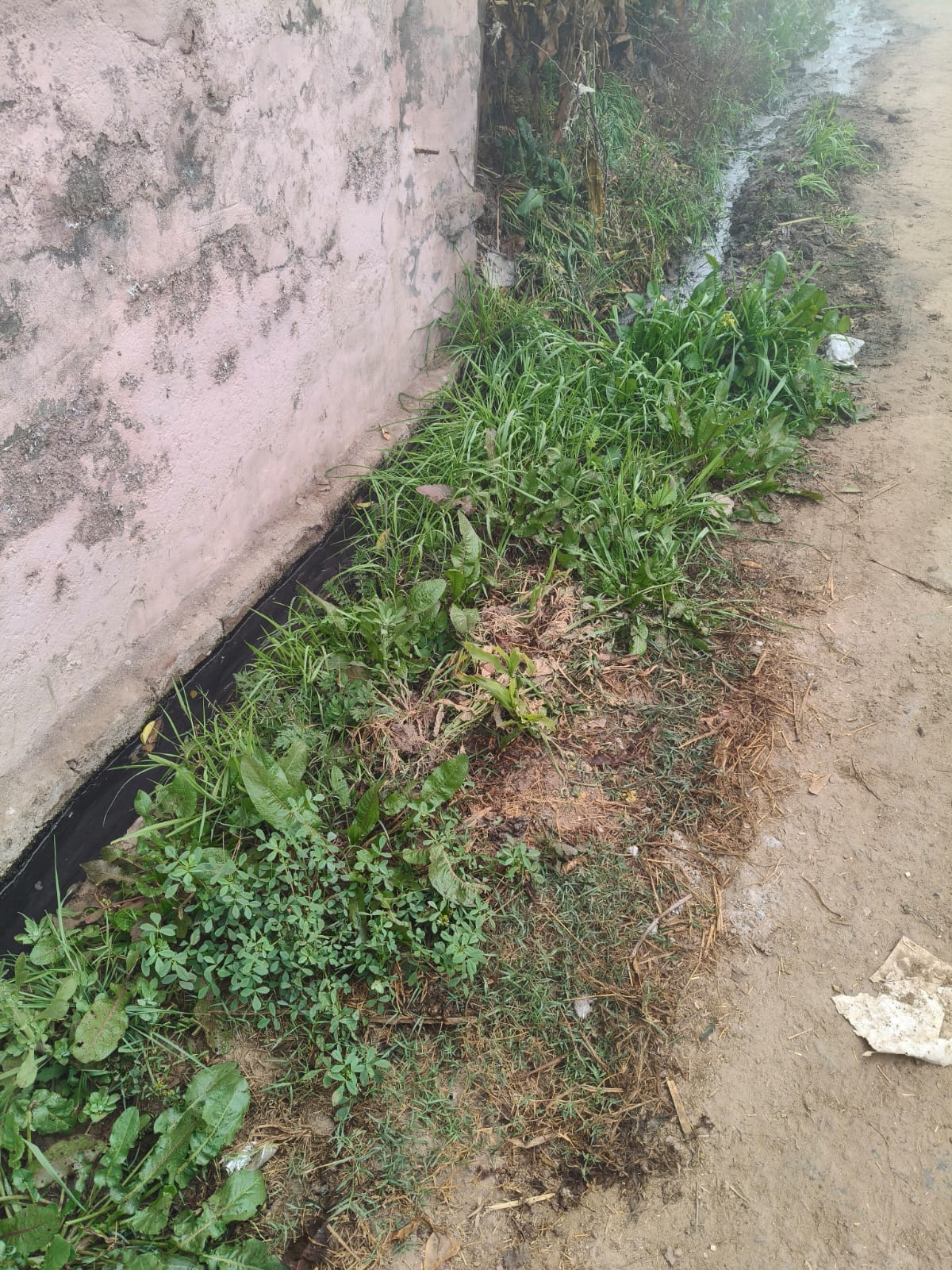 The drains are clogged with filth; sanitation workers haven't come for six months.