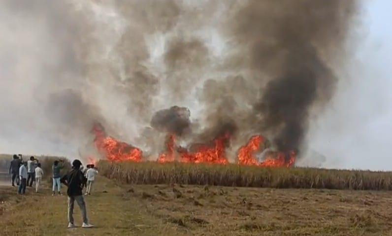 Stubble burning destroys 400 acres of sugarcane crop in four villages.