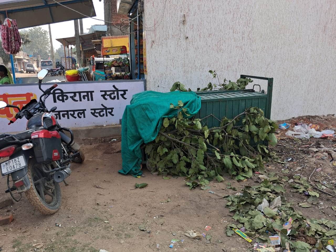 भालू के लिए लगाया गया पिंजरा।