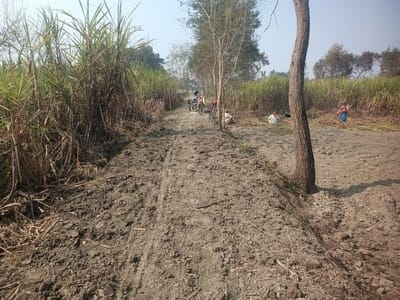 MNREGA: Workers working only on the portal, no one found at the work site
