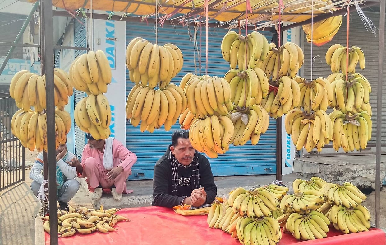60 quintals of bananas are being consumed daily in the market.