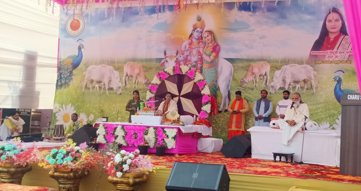 The story describes the birth of Lord Krishna.