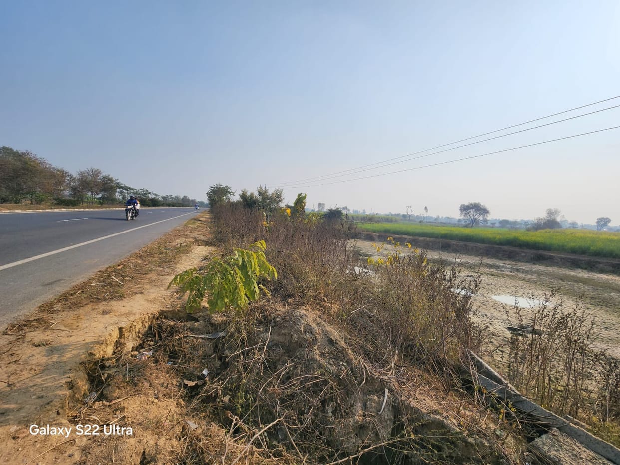 A net of death spread over ponds and open drains adjacent to roads
