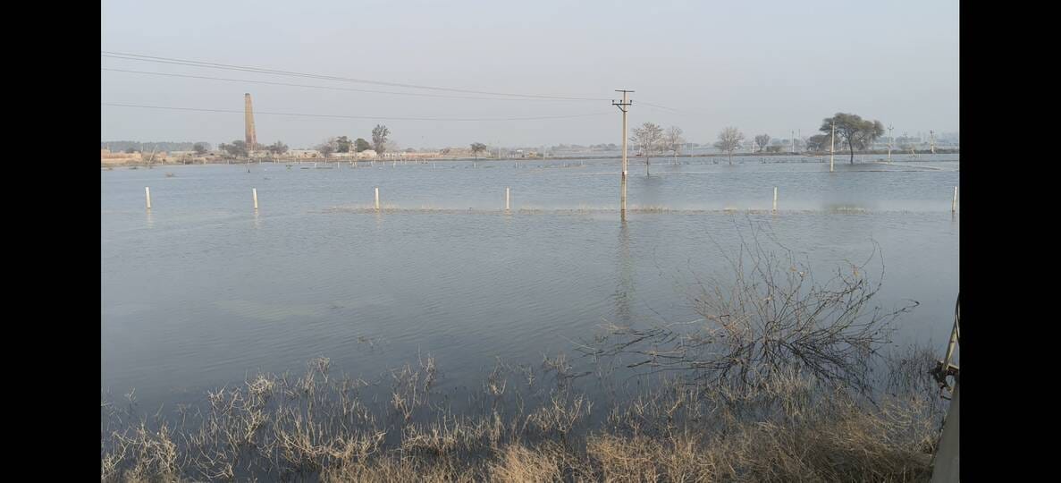 The dreams of farmers are drowning in chaos, while government claims are floating on water.