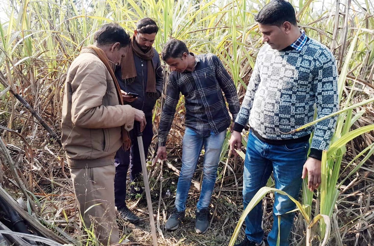 A tiger emerged from a field in Narautha Devidas; the workers managed to save their lives by running away.