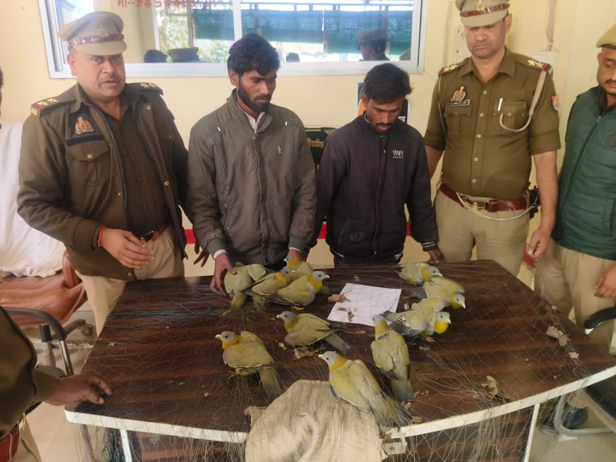 Two hunters of the banned Hariyal bird arrested