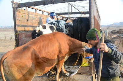 सांकेतिक तस्वीर