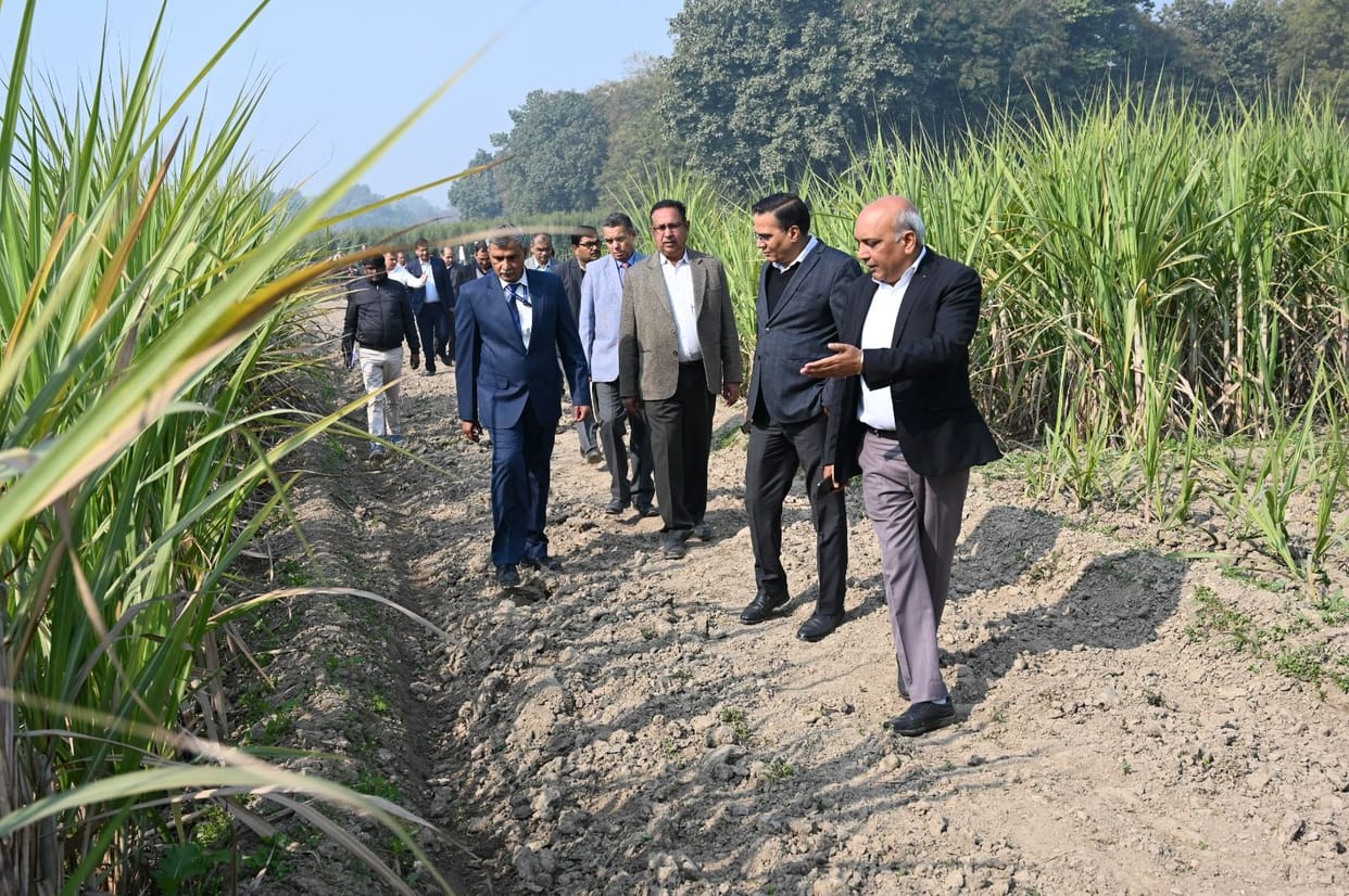 Strong seed sugarcane production system will be implemented in the state