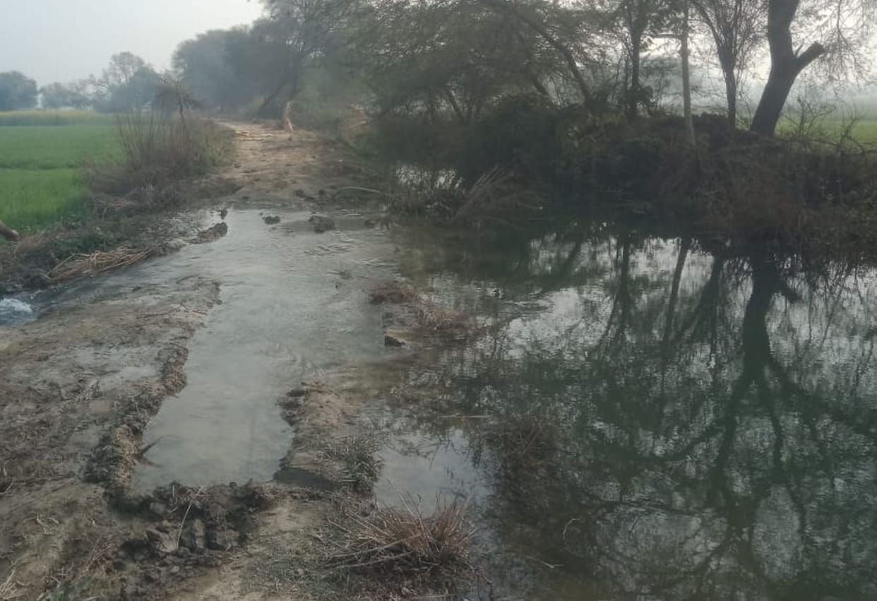Dukanha Minor breached for the second time in a week, 50 bigha crops submerged