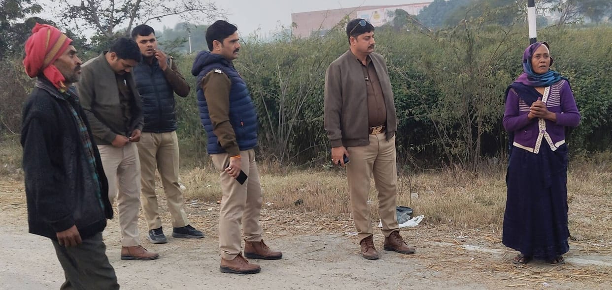 Miscreants robbed an elderly woman of her jewellery after dragging her into a field.