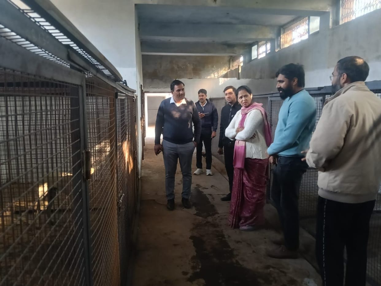 The animal birth control center is located in Raghunathpura Khalra.