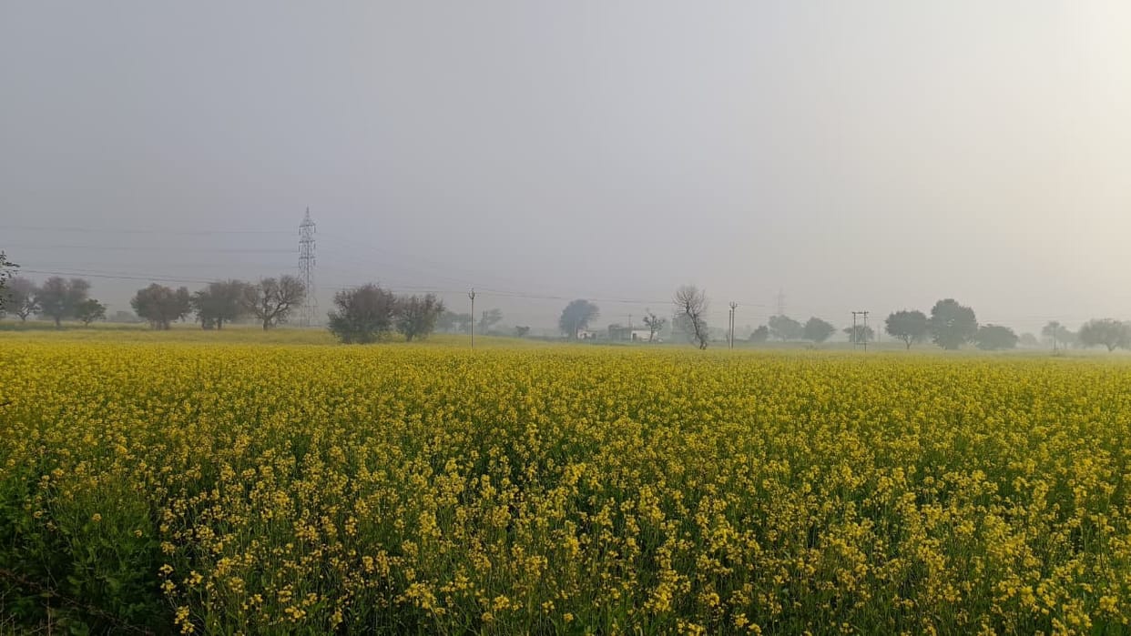 Weather will change from the night of 22nd, there is a possibility of rain with strong winds