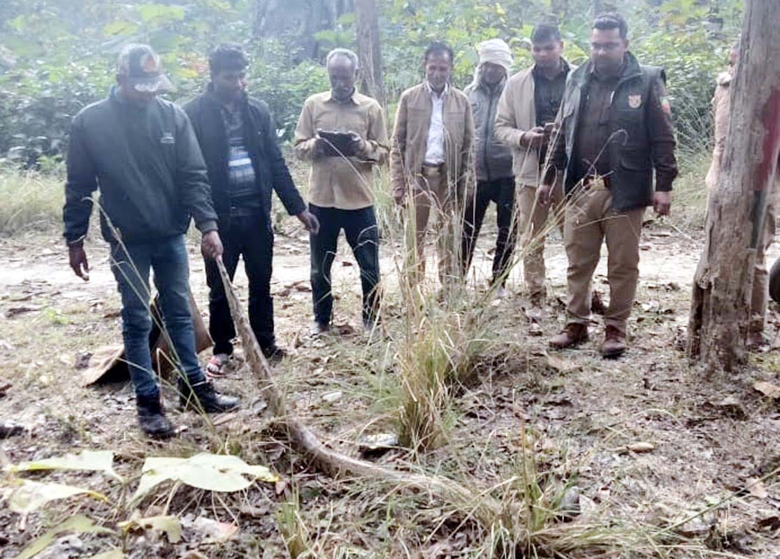 An eight-foot-long python was found in Sukhchainpur.