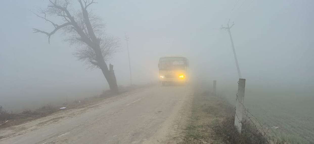 Morning fog, relief from sunshine during the day, rain expected from 25th