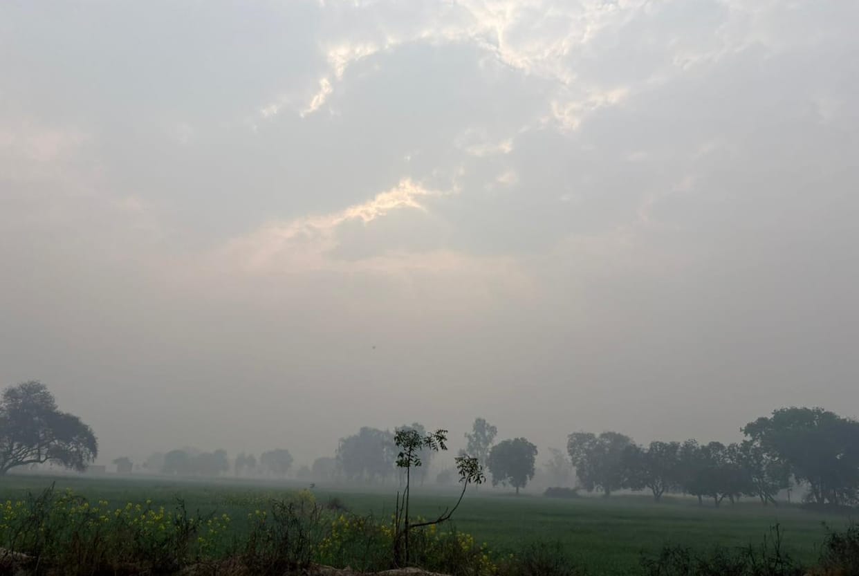 Temperature dropped by 9 degrees in four hours, with a day-to-night variation of 12 degrees