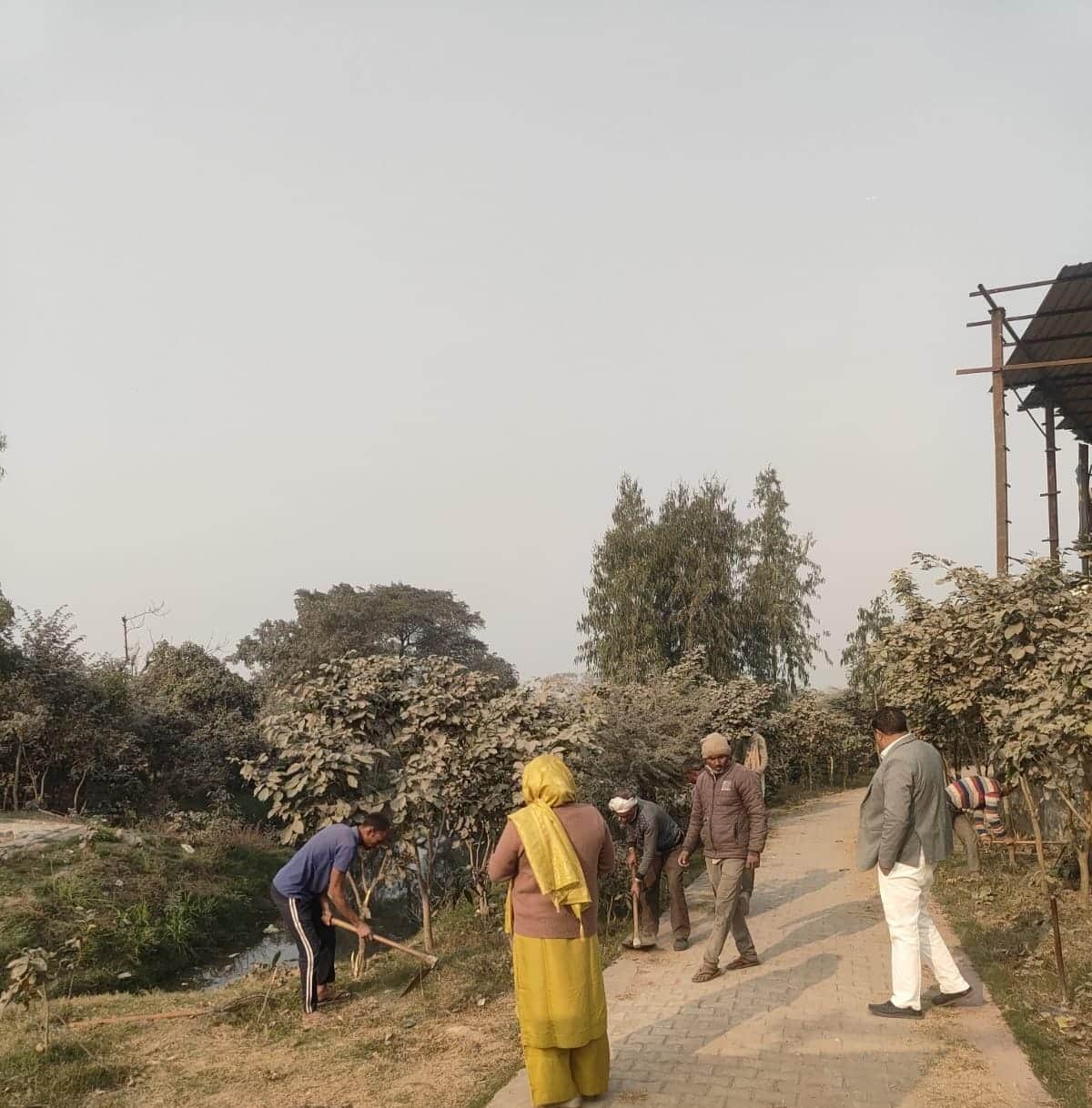 सिकंदराबाद मृत मछलियों को दबवाती ग्राम प्रधान। संवाद