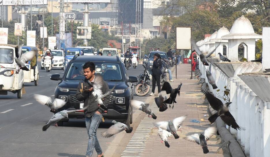 The cold in the capital faded due to intense sunlight